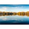 wall26 - Picture of a Lake and Trees with Colorful Leaves on an Evening in Autumn in Bavaria - Removable Wall Mural | Self-Adhesive Large Wallpaper - 100x144 inches view 2