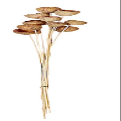 Worth Imports 3045 Solit Cup on Stem 40 pcs