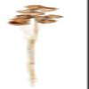 Worth Imports 3045 Solit Cup on Stem 40 pcs view 1