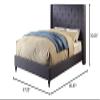 Furniture of America Hollis Contemporary Fabric Upholstery Bed with Nailhead Trim and Tufted, Eastern King, Blue view 3