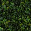 3rd Street Inn Milltown Merchants Artificial Hedge - Great Boxwood and Ivy Substitute - Sound Diffuser Privacy Fence Hedge - Topiary Greenery Panels (2, English Garden) view 1