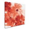 Trademark Fine Art WAP01468-C1818GG Seashell Cosmos II Red and Orange, 18 x 18 view 2