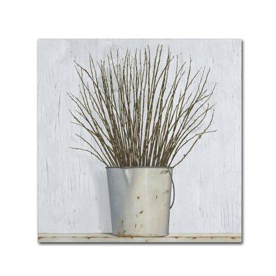 Trademark Fine Art Early Spring by James Wiens, 18x18-Inch