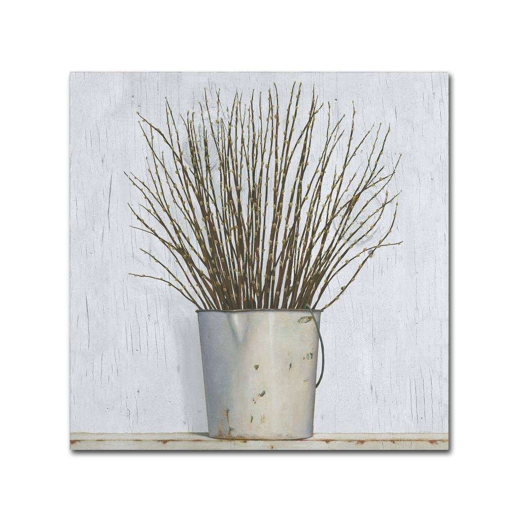 Trademark Fine Art Early Spring by James Wiens, 18x18-Inch
