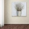 Trademark Fine Art Early Spring by James Wiens, 18x18-Inch view 3