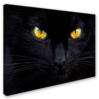 Trademark Fine Art the Hypnotist of the Night Wall Dcor, 16 x 24