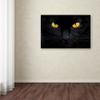 Trademark Fine Art the Hypnotist of the Night Wall Dcor, 16 x 24 view 2