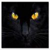 Trademark Fine Art the Hypnotist of the Night Wall Dcor, 16 x 24 view 3