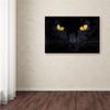 Trademark Fine Art the Hypnotist of the Night Wall Dcor, 16 x 24 view 4