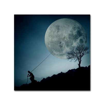 Trademark Fine Art 1 X 02396-C1818GG the Dreamer, 18 x 18