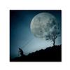 Trademark Fine Art 1 X 02396-C1818GG the Dreamer, 18 x 18 view 1