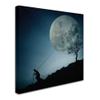 Trademark Fine Art 1 X 02396-C1818GG the Dreamer, 18 x 18 view 2