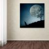 Trademark Fine Art 1 X 02396-C1818GG the Dreamer, 18 x 18 view 3