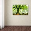 Trademark Fine Art Ponthus Beech Wall Dcor, 16 x 24 view 3