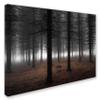 Trademark Fine Art Silence Wall Dcor, 16 x 24 view 1