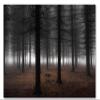 Trademark Fine Art Silence Wall Dcor, 16 x 24 view 2
