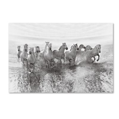 Illusion Of Power by Roman Golubenko, 16x24-Inch Canvas Wall Art