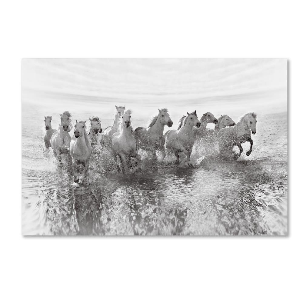 Illusion Of Power by Roman Golubenko, 16x24-Inch Canvas Wall Art