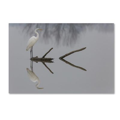Trademark Fine Art Reflections Wall Dcor, 16 x 24