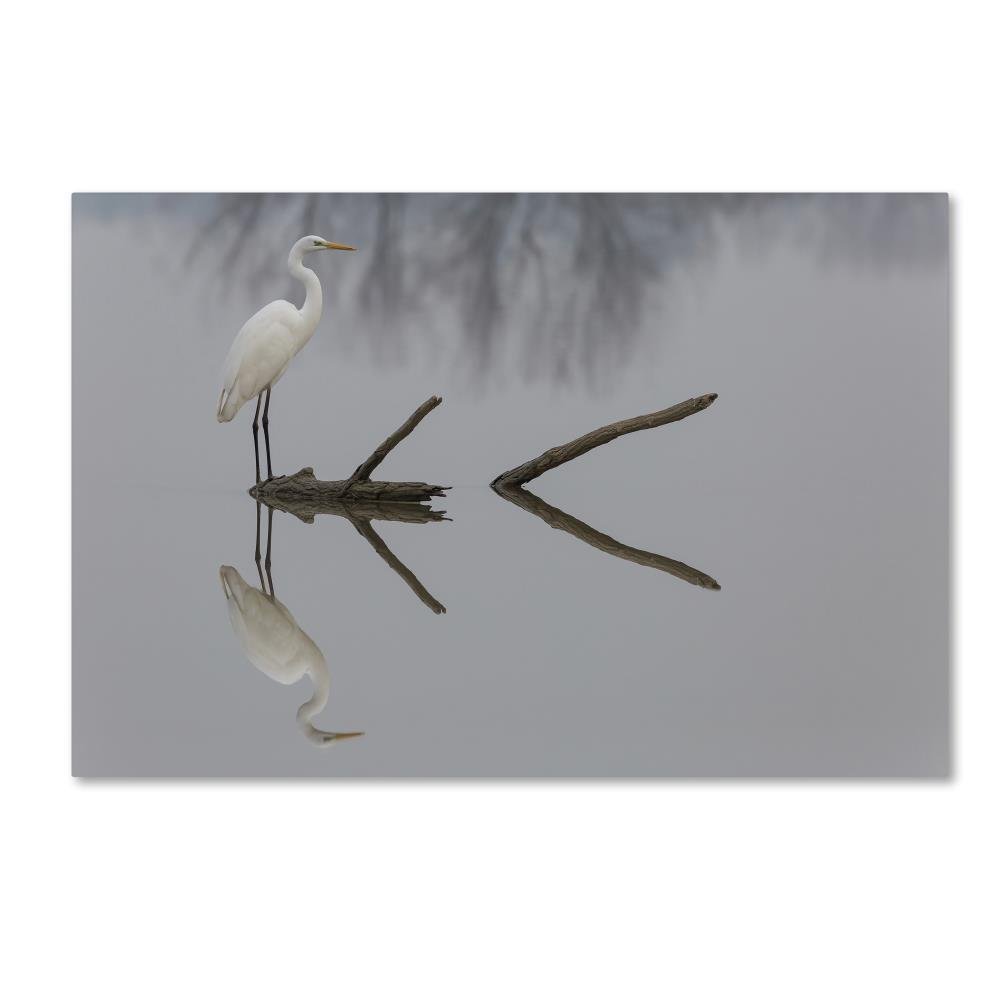 Trademark Fine Art Reflections Wall Dcor, 16 x 24
