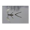Trademark Fine Art Reflections Wall Dcor, 16 x 24 view 1