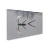 Trademark Fine Art Reflections Wall Dcor, 16 x 24 view 2