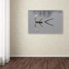 Trademark Fine Art Reflections Wall Dcor, 16 x 24 view 3