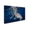 Trademark Fine Art Humpback Whale Wall Dcor, 16 x 24 view 2