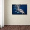 Trademark Fine Art Humpback Whale Wall Dcor, 16 x 24 view 3
