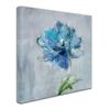 Trademark Fine Art Floral Bloom II v2 by Danhui Nai, 18x18-Inch view 2
