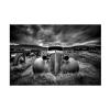 Wrapped Canvas Wall Art - Carsten Schlipf 'Too Old To Drive' Wall Art for Living Room, Bedroom, or Office Dcor - 16x24 view 2