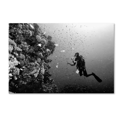 Trademark Fine Art 1 X 02986-C1624GG Man At Work Decorative Wall Hanging, 16 x 24
