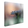 Canvas Wall Art - Juliana Nan 'Eyes Of The Light' Wall Art for Living Room, Bedroom, or Office Dcor by Trademark Fine Art view 2