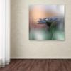 Canvas Wall Art - Juliana Nan 'Eyes Of The Light' Wall Art for Living Room, Bedroom, or Office Dcor by Trademark Fine Art view 3