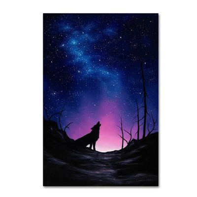 Trademark Fine Art ALI16414-C1624GG Starry Nights