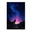 Trademark Fine Art ALI16414-C1624GG Starry Nights view 1