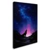 Trademark Fine Art ALI16414-C1624GG Starry Nights view 2