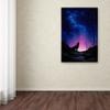 Trademark Fine Art ALI16414-C1624GG Starry Nights view 3