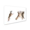 Trademark Fine Art 1 X 03917-C1624GG the Choir Coyotes, 16 x 24 view 2