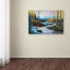 Trademark Fine Art ALI16393-C1624GG High Country Love, 16 x 24 view 3