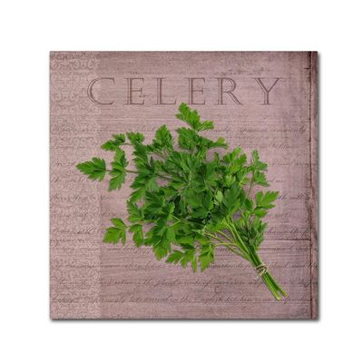 Trademark Fine Art Classic Herbs Celery by Cora Niele, 18x18-Inch