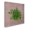 Trademark Fine Art Classic Herbs Celery by Cora Niele, 18x18-Inch view 2