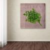 Trademark Fine Art Classic Herbs Celery by Cora Niele, 18x18-Inch view 3