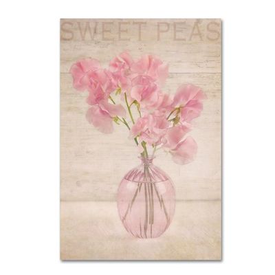 Trademark Fine Art ALI16585-C1624GG Pink Sweet Peas, 16 x 24