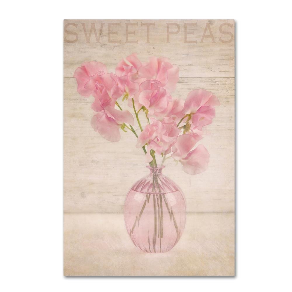 Trademark Fine Art ALI16585-C1624GG Pink Sweet Peas, 16 x 24