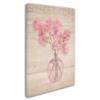 Trademark Fine Art ALI16585-C1624GG Pink Sweet Peas, 16 x 24 view 2