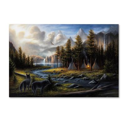 Trademark Fine Art ALI16387-C1624GG Wild America, 16 x 24