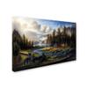 Trademark Fine Art ALI16387-C1624GG Wild America, 16 x 24 view 2