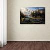 Trademark Fine Art ALI16387-C1624GG Wild America, 16 x 24 view 3