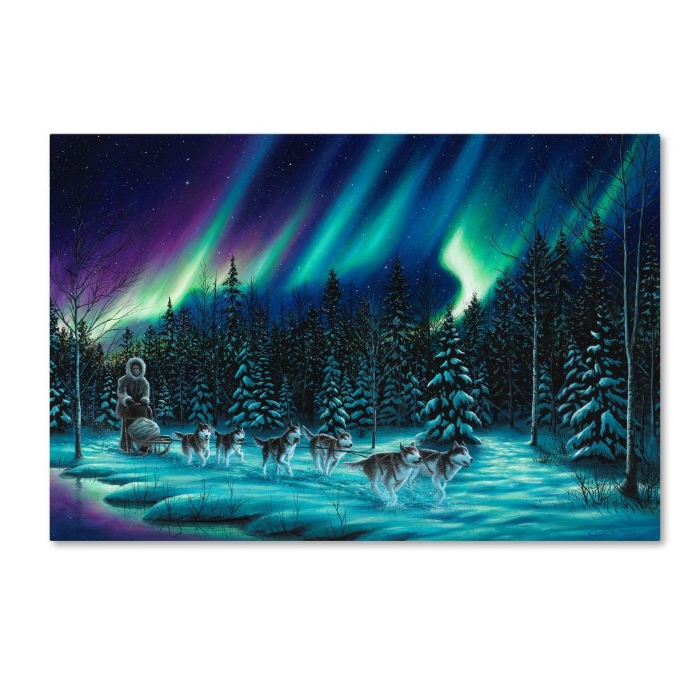 Trademark Fine Art ALI16403-C1624GG the Perfect Ride, 16 x 24